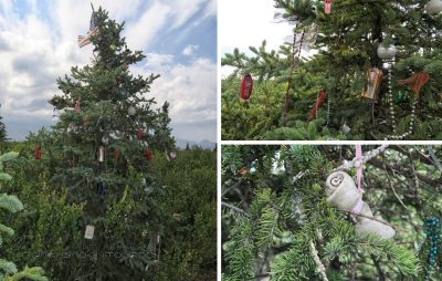 Weihnachtsbaum am Denali-Hwy