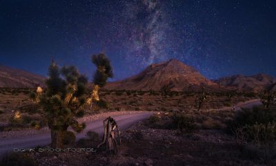 Mojave bei Nacht