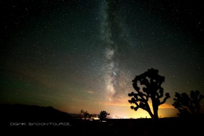 Nachthimmel Mojave