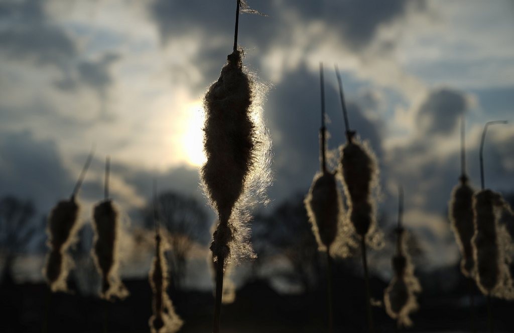 Müden an der Örtze