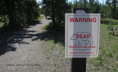 Bärenwarnung