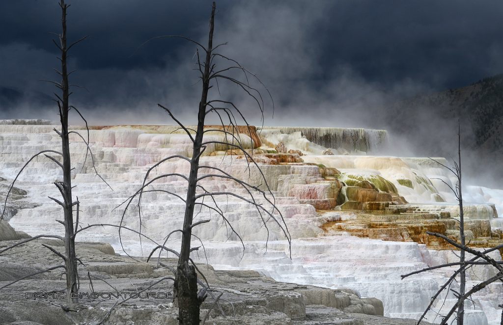 Reisebericht USA Yellowstone National Park