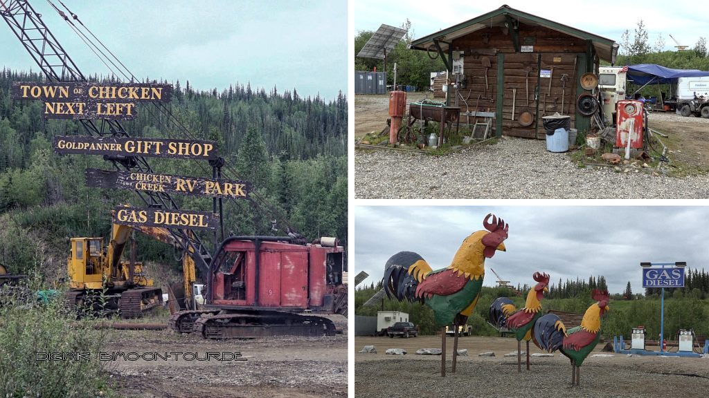 Reisebericht Alaska USA Tok Chicken Denali