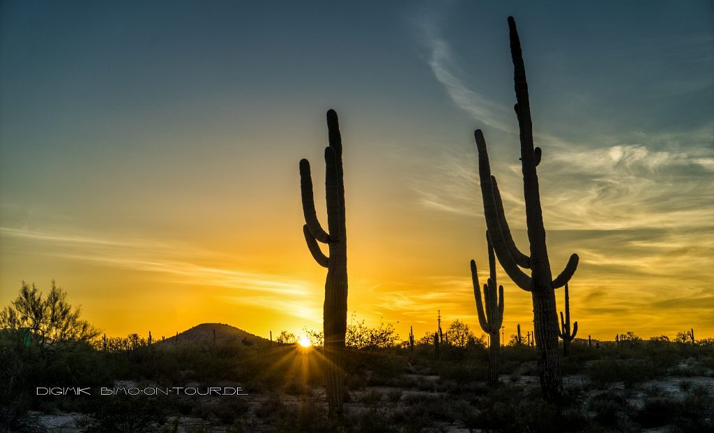 Sonnenuntergang mit Orgelpfeifen