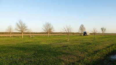 Emsland in Louisiana