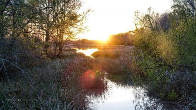 Moorsonnenuntergang