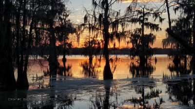 Swamp Abendglühen