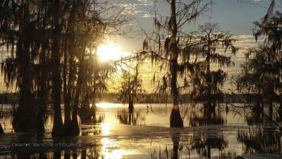 Swamp Sonnenuntergang