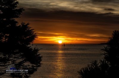 Concarneau-Sonnenuntergang