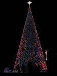 Pontevedra-Weihnachtsbaum