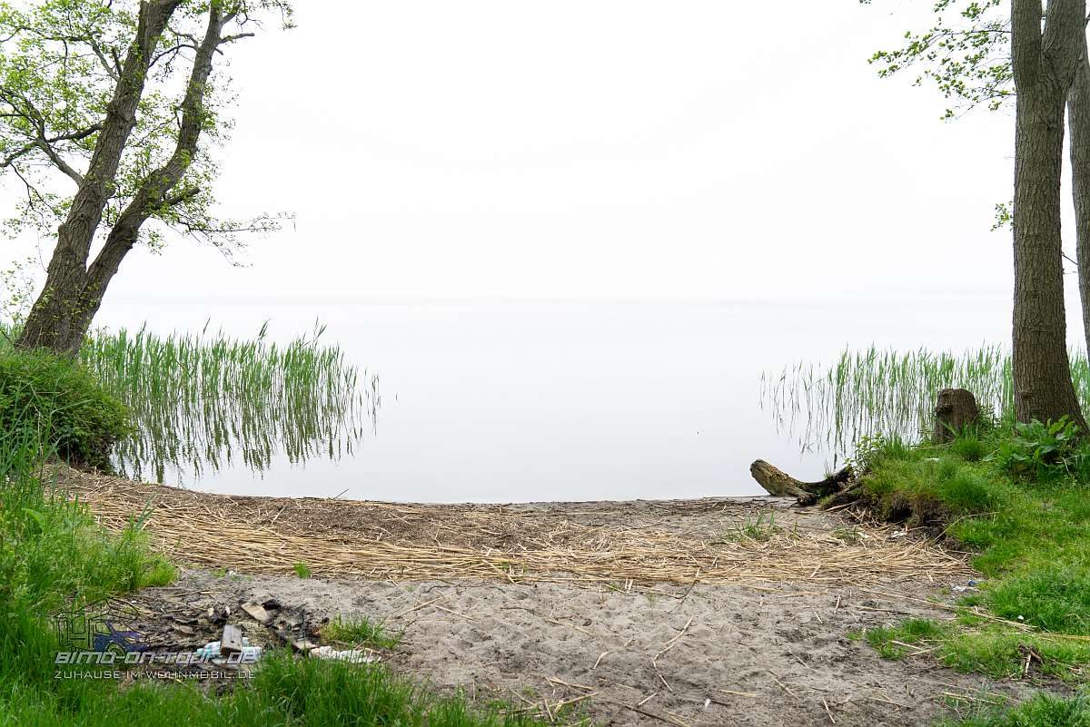Am See