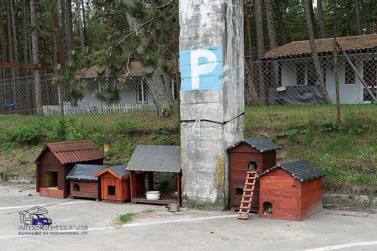 Leba-Hundeparkplatz