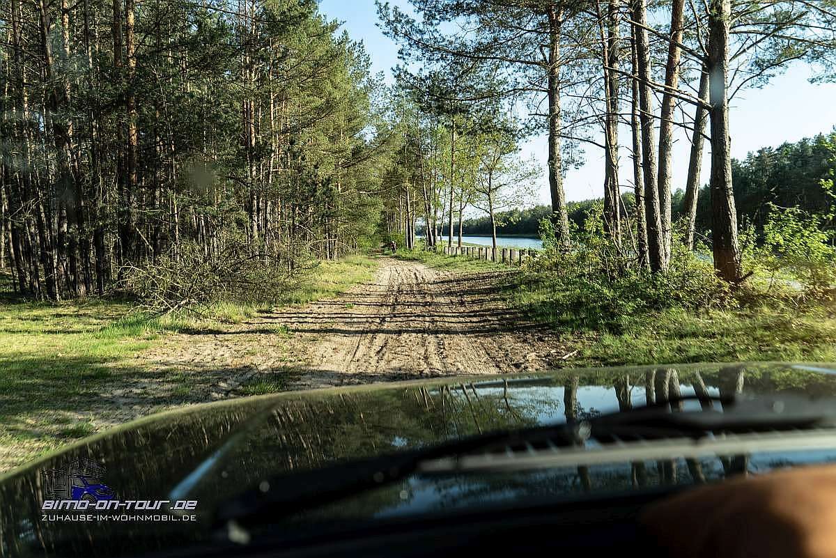 Sandpiste im Wald
