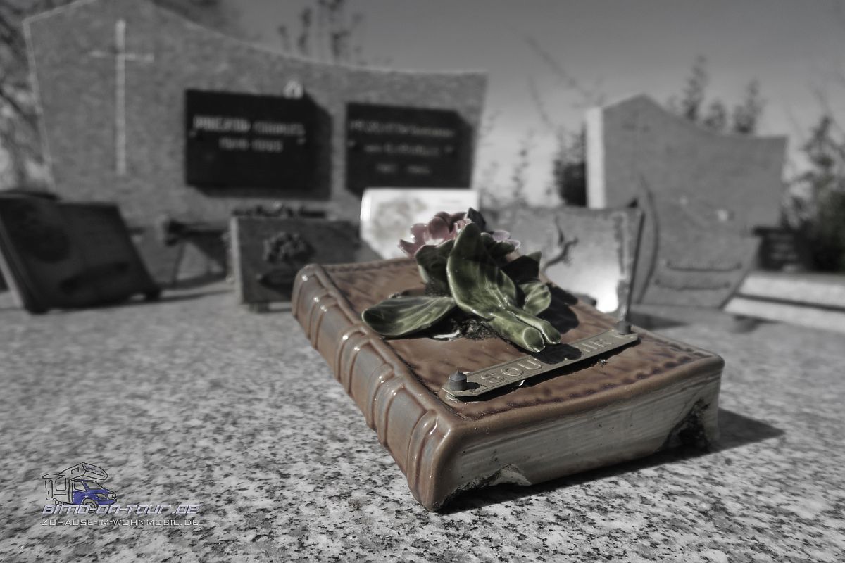 Notre Dame des Cyclistes