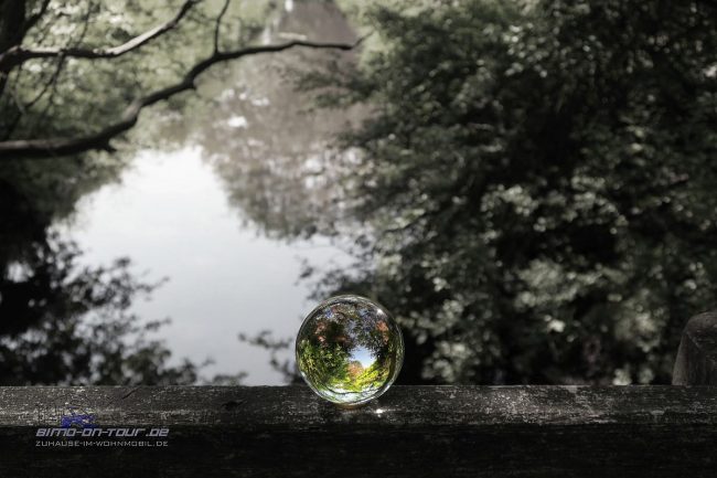 Lensball Glaskugel im Wald