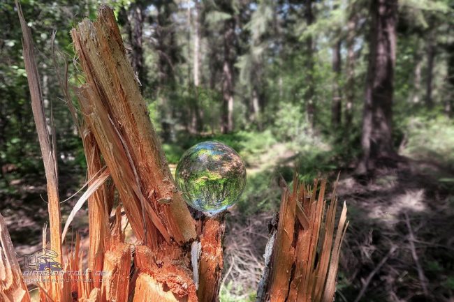 Lensball/Glaskugel im Wald