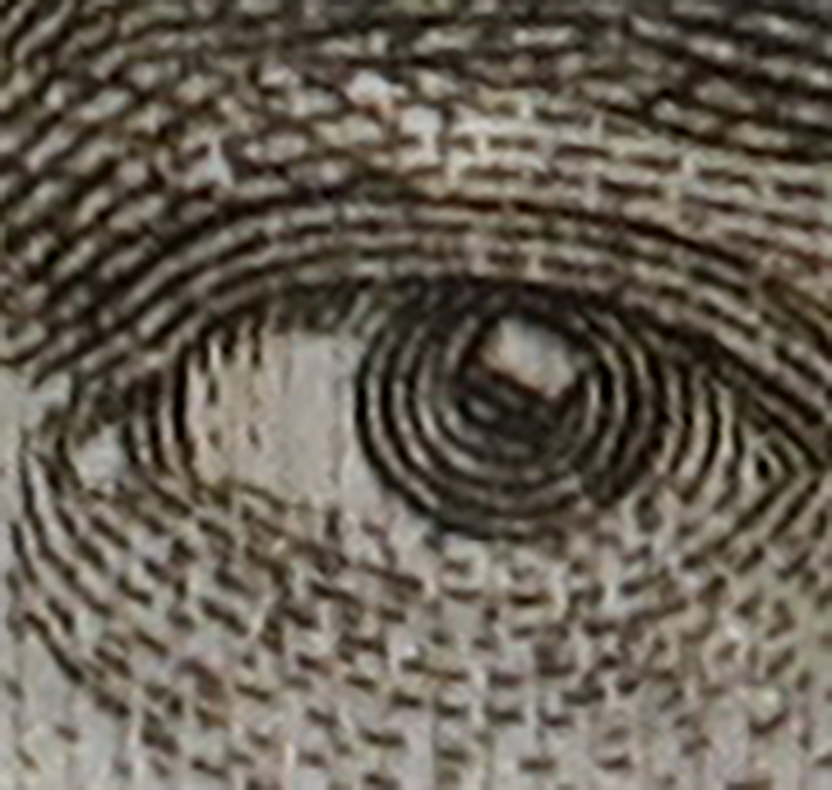 Canon G5X-Ausschnitt 3