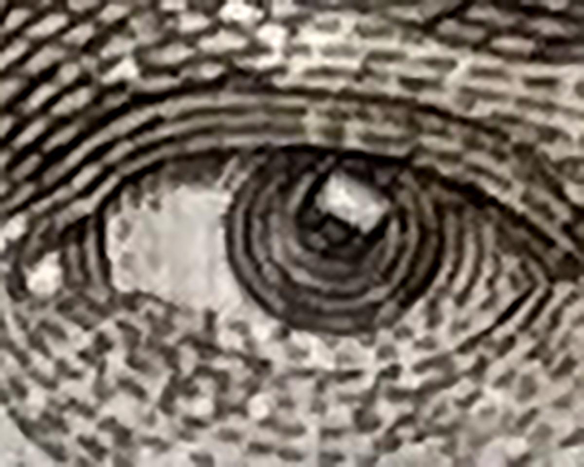 IPhone12-Ausschnitt 3