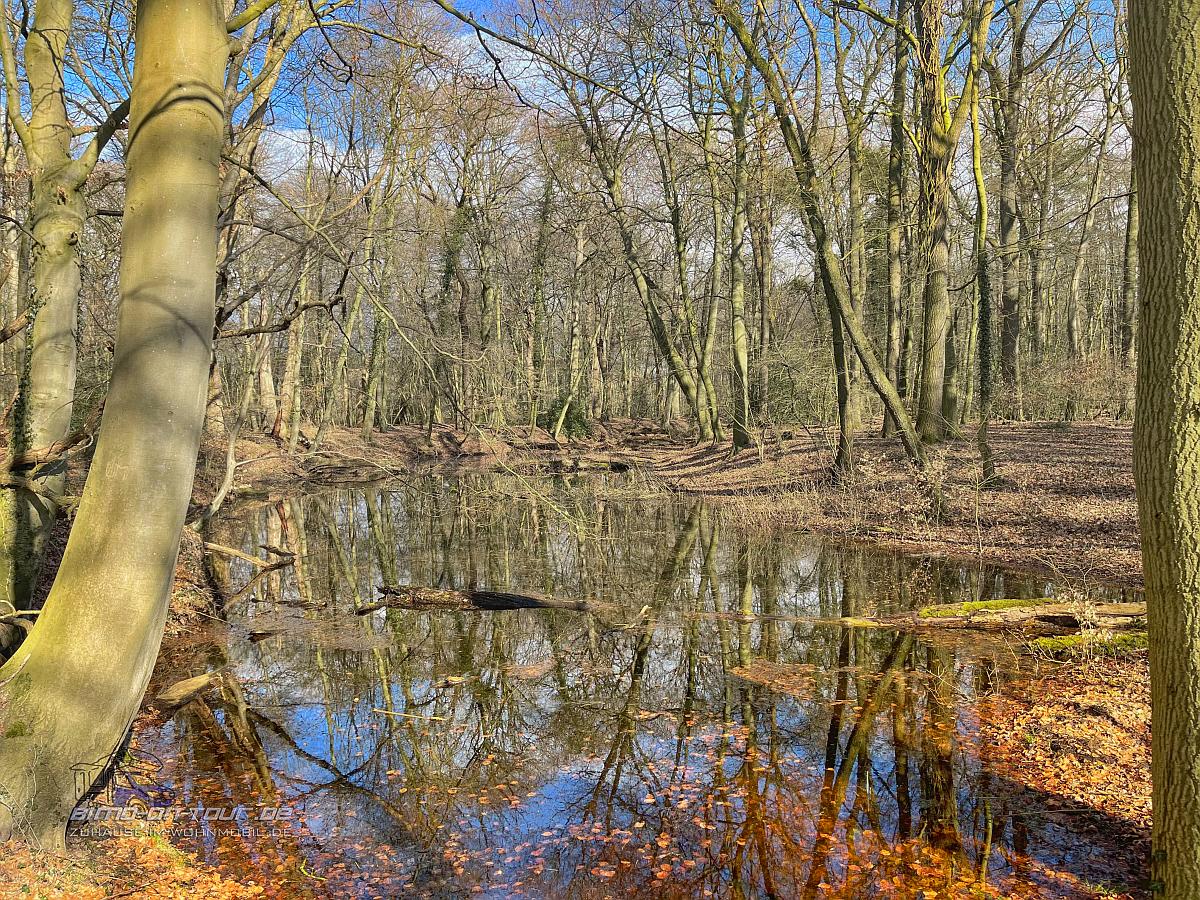 Barneführer Holz