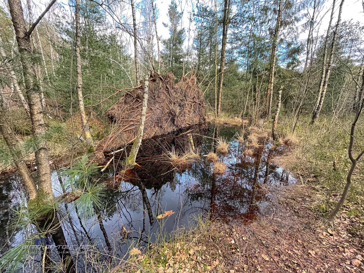 Barneführer Holz