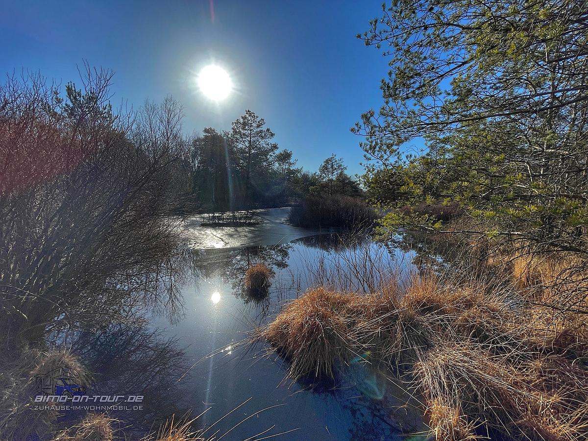 Holler Moor