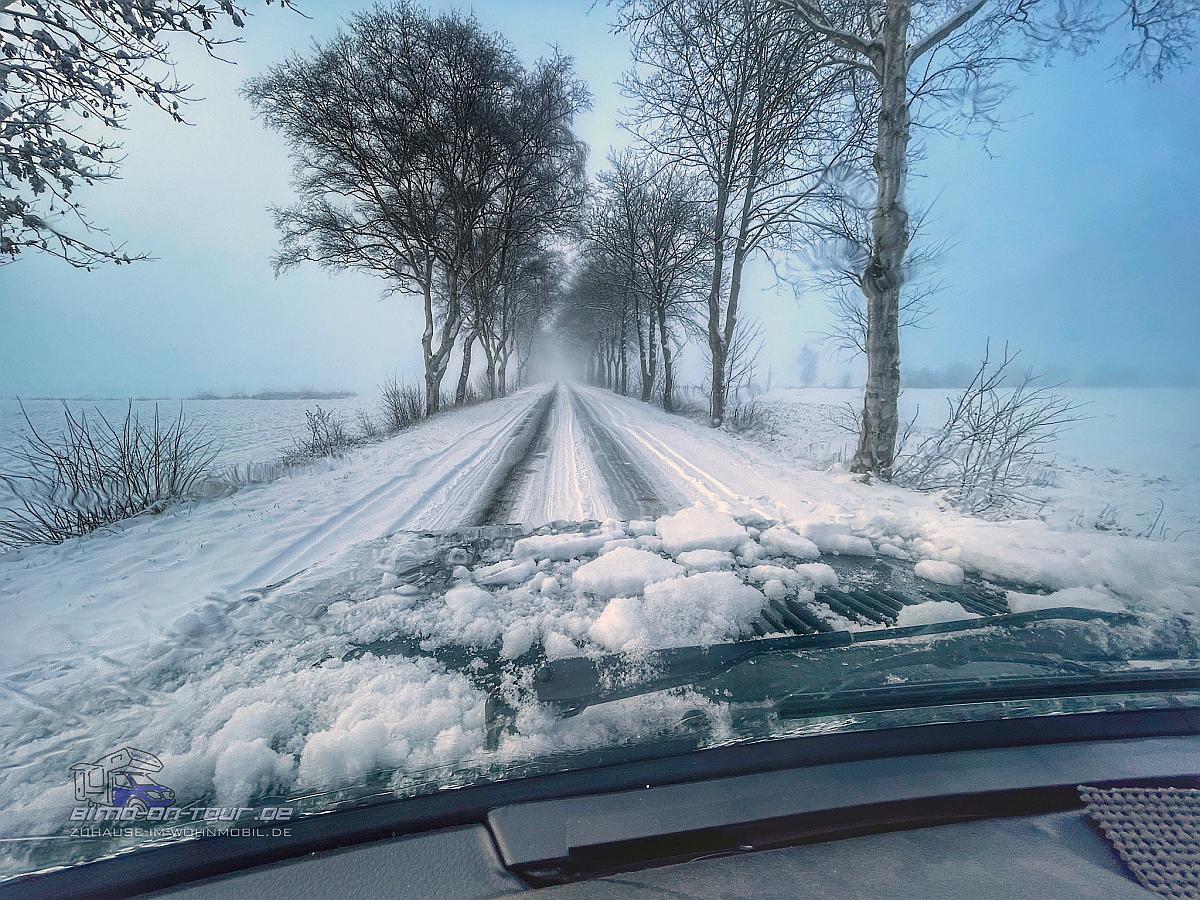 Ipweger Moor im Winter