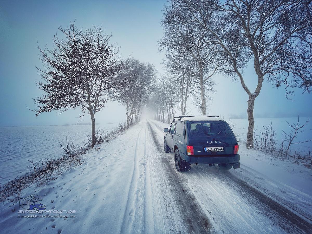 Ipweger Moor im Winter
