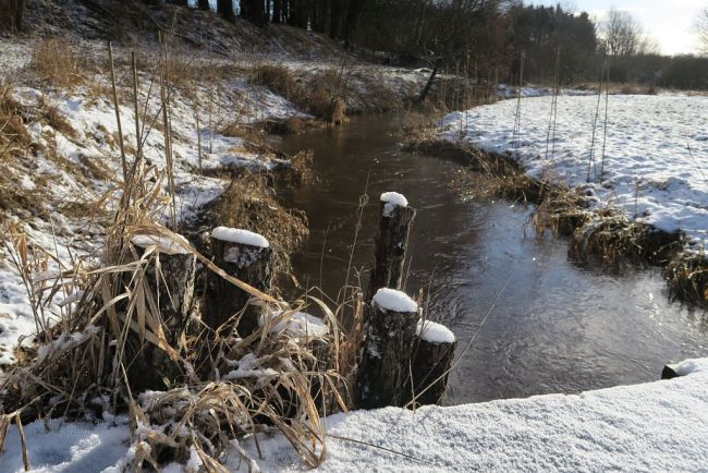 Reisebericht Klein Amerika | Leben und Reisen im Wohnmobil