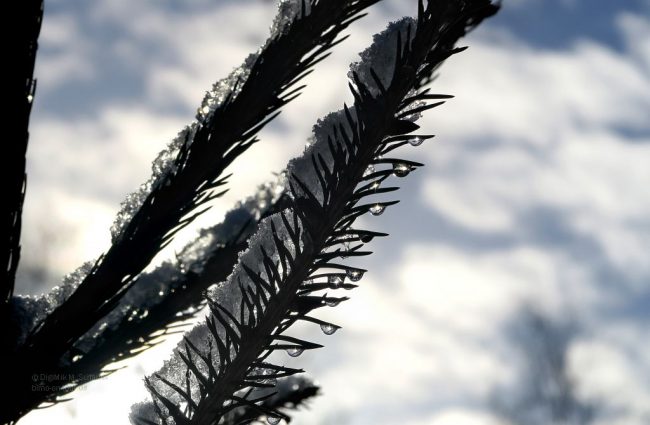 Reisebericht Klein Amerika | Leben und Reisen im Wohnmobil